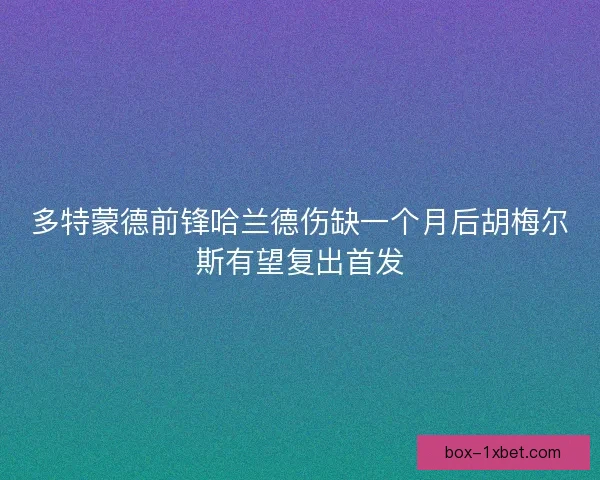 多特蒙德前锋哈兰德伤缺一个月后胡梅尔斯有望复出首发