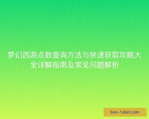 梦幻西游点数查询方法与快速获取攻略大全详解指南及常见问题解析
